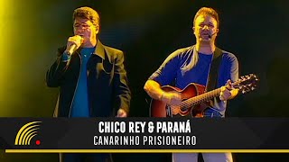 Chico Rey e Parana